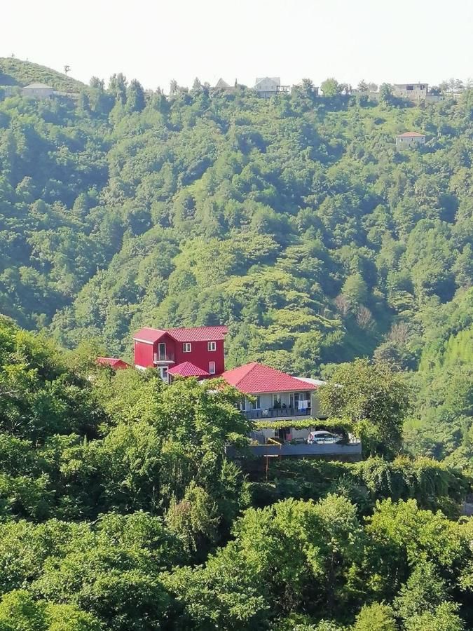 Гостевой дом Zelenyy Ray Guest House Sharabidzeebi-4