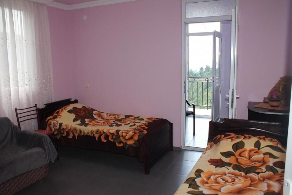 Гостевой дом Zelenyy Ray Guest House Sharabidzeebi-26